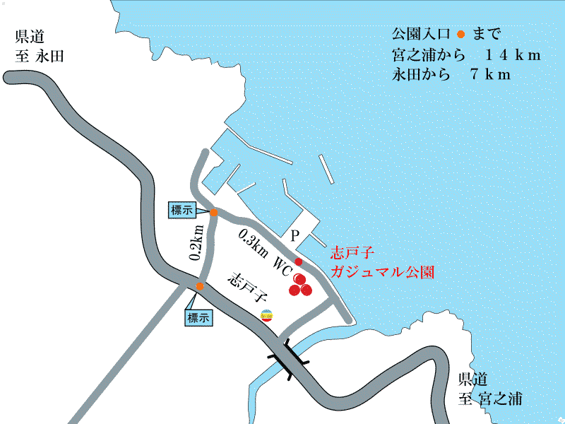 志戸子ガジュマル公園周辺地図
